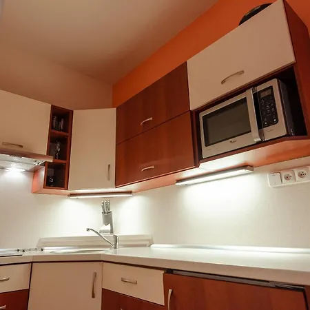 Apartament Ramzova Pod Klinem